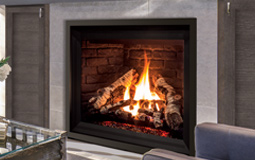 G42 Gas Fireplace